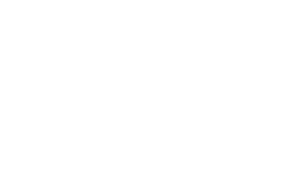 Brookstone Windows & Doors logo