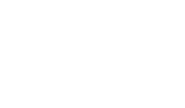 Handy Bros logo