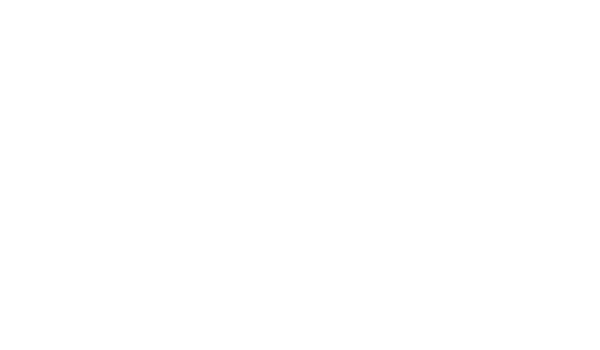 LevelTech logo